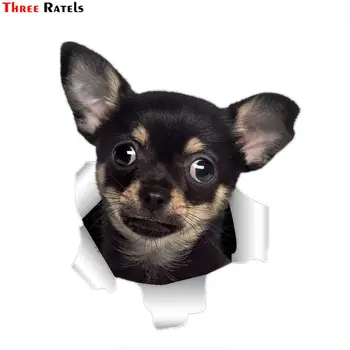 שלושה Ratels QD35 חמוד 3D מתכת קרועה עיצוב צ ' יוואוות הכלב מדבקת מכונית 3d