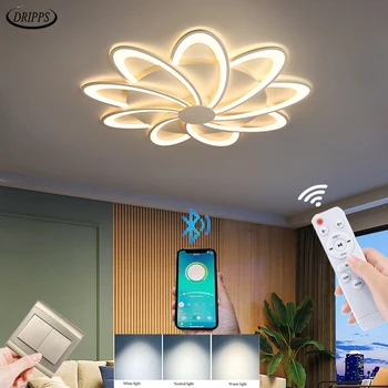 המודרני סלון LED מנורת התקרה בחדר השינה חדר האוכל נברשת ללמוד האפליקציה מלון עמעום תאורה פנימית מנורת תקרה אור