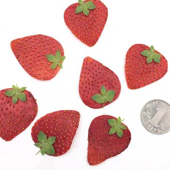 5pcs מיובשים לחוץ פירות תות העור פרוסות צמח העשבייה עבור תכשיטים מסגרת תמונה מקרה טלפון סימניה עושה DIY